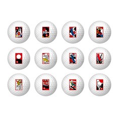 볼빅 VS4 화투 골프공 12종 세트, 화이트, 1세트