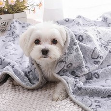 쁘띠도그 강아지 폴짝이 담요, 1개, 그레이