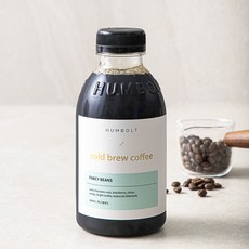 훔볼트 팬시빈스 블렌드 콜드브루 커피, 500ml, 1개