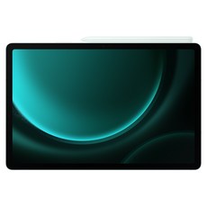 삼성전자 갤럭시탭 S9 FE 태블릿PC, 민트, 256GB, Wi-Fi+Cellular