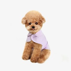 허츠앤베이 강아지 쿨조끼, 라벤더, 1개