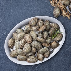 바다자리 생물 물바지락 (냉장), 1kg, 1개