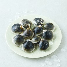 모시조개 (냉장), 1개, 300g