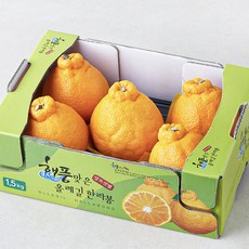 올레길 AI 당도선별 13.5brix 고당도 한라봉, 1.5kg(대과,4~5입), 1박스