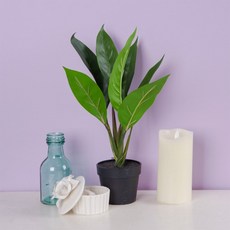 Marsh Marigold 室內裝飾人造樹 白鶴芋 38cm, 1個, 綠色