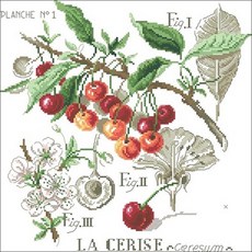 家居裝飾 櫻花十字繡 DIY 圖案 + 布料 + 繡線 + 針 2p 套裝組合, 混合色, 1套