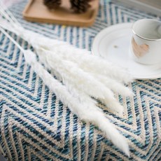 GAPANG 迷你潘帕斯干花 DRYB114, 02（白色）