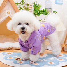 PASTEL PET 寵物恐龍連帽風衣, 1個, 紫色