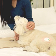 Iaso 寵物冷雷射30g單包套裝狗用, 1組