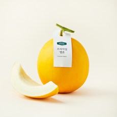 온브릭스 프리미엄 양구 멜론, 1개, 1.5kg
