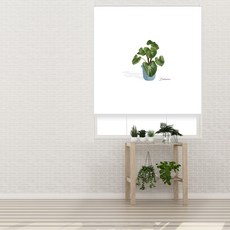 델리시오사화분 실사 롤스크린 암막원단