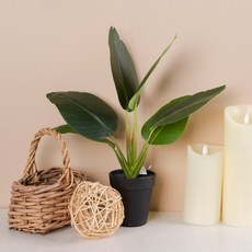 瑪西萬壽菊室內裝飾人造樹 36cm, 1個, 迷你香蕉葉