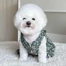 bydamsoomi 狗狗燈芯絨花朵洋裝, 綠色
