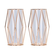 鐵製框架花瓶 TYPE 1 2入, 金子