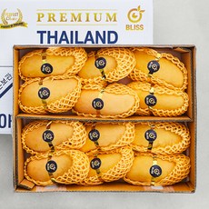 이웃마을 태국산 마하차녹 망고, 3.8kg(12~14입), 1개