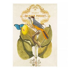 마켓에이 플라워앵무새 패브릭 도어커튼