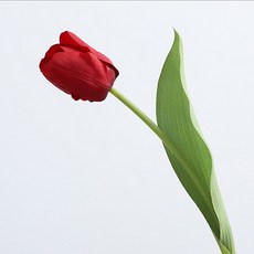 人造花居家裝飾鬱金香 YT RC049 4入, 朱紅色, 4個