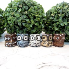 Moico 迷你貓頭鷹木雕裝飾公仔5件組, 混合色