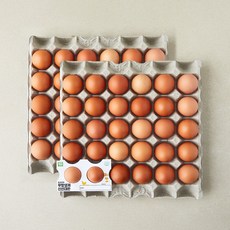 무항생제 인증 신선 대란 3.12kg, 1개, 60구