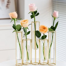 MORIANN 5格圓柱花瓶, 透明度