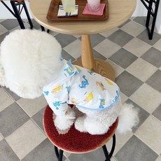 Yoreungae 寵物恐龍頭造型亮點雨衣, 01 藍色, 1個