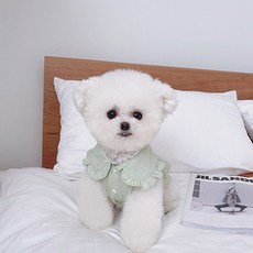 petit dog 寵物白色緞帶背心 DSV028, 綠色