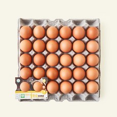 한스팜 무항생제 인증 1등급 신선특란 1.8kg, 1개, 30구