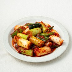 해담촌 대파김치, 800g, 1개