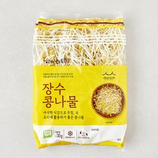 김구원선생 GAP 인증 장수 콩나물, 600g, 1개