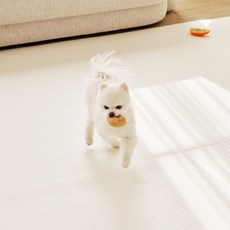 LIFANG 반려동물 미끄럼방지 매트 폴딩타입 4칸, 크림베이지, 1개