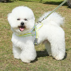 레드퍼피 강아지 마카롱 하네스 + 리드줄 세트, 옐로우, 1세트