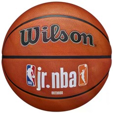 윌슨 Jr NBA Fam Logo 어센틱 실외 농구공, 1개, WZ3011801XB