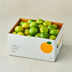 깨비농원 감귤, 1개, 3kg(소과)