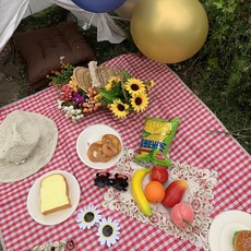 RaonToU 簡約圖案防水野餐墊, 07 紅色格紋 5人