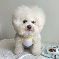 바이담수미 강아지 쿨데이 나시, 옐로우, 1개