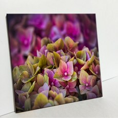 UDP 磁磚畫框 A型 3891575, 白色素面磁磚背景