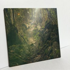 UDP 瓷磚畫框 A型 438432, 單一顏色