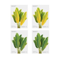 Appree 香蕉葉書籤筆 2款套組 0.8mm, 綠色, 黃色, 4套