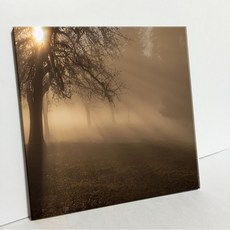 UDP 磁磚畫框 A型 3914665, 單一顏色