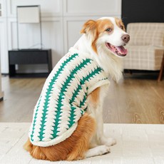 PASTEL PET 中大型犬圖案超細纖維T恤, 綠色, 1個