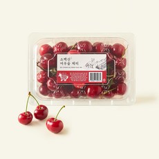 디에스푸즈 국산 소백산 여우숲 체리, 1개, 400g