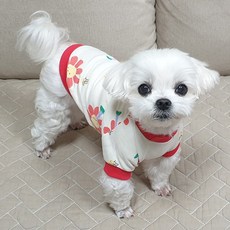 도기코디 해바라기 티셔츠, 아이보리, 1개