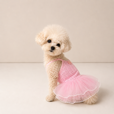 Grooming Dog 狗狗透視小精靈紗裙洋裝