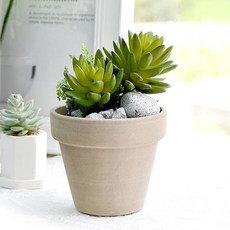 Garden in the City 和諧自然多肉配件6240019, 混色, 1個