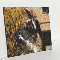 UDP 磁磚畫框 A型 3916020