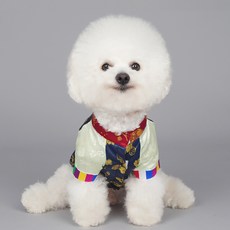 Baidamsumi寵物T恤型王子韓服, 單色