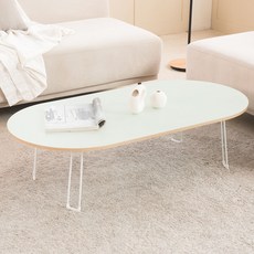 엔토 라운드 테이블 1200 + 다릿발 보호캡 4p, 민트