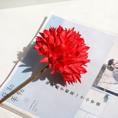 가팡 드라이플라워 DRYJ053 04번, 레드