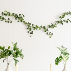 星星常春藤花環, 混色