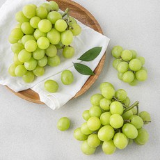 다조은 미국산 씨없는 점보 청포도 오톰크리스피, 1.2kg, 1개